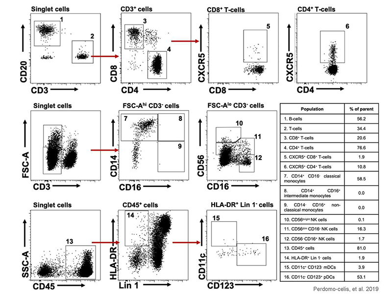 Human immune cell subsets in huNOG-EXL mice