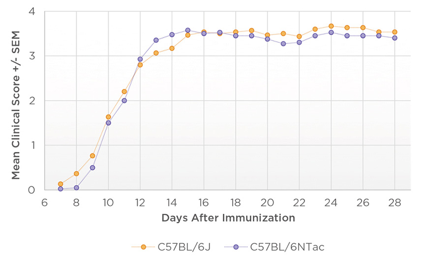 Age and sex matched Black 6 mice used in active immunization study using MOG and CFA Age and sex matched Black 6 mice used in active immunization study using MOG and CFA