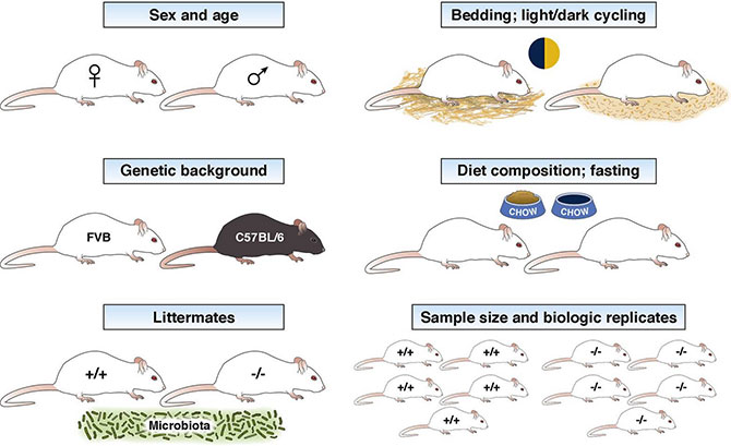 Remember to ARRIVE Remember to ARRIVE